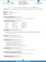 SW-T1
